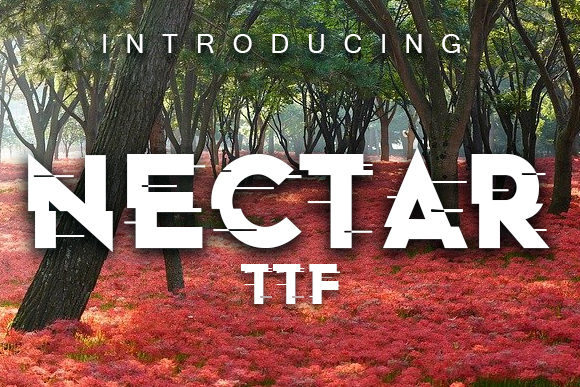 Nectar Font for Editorial Design and Creative Projects