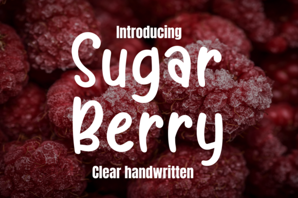 Sugar Berry: A Friendly Display Font for Creative Projects